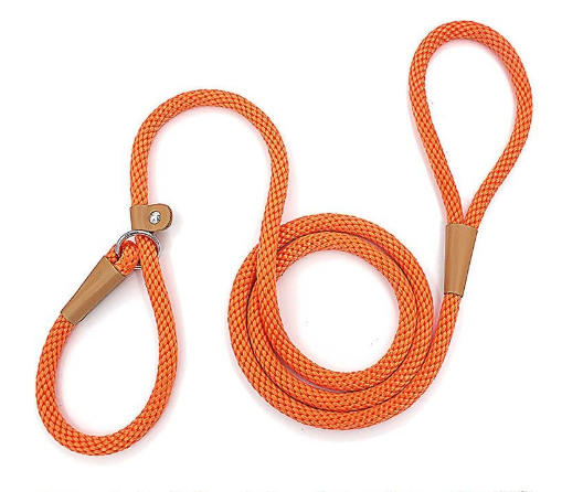 Dog Leash Variation 5