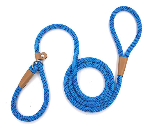 Dog Leash Variation 2