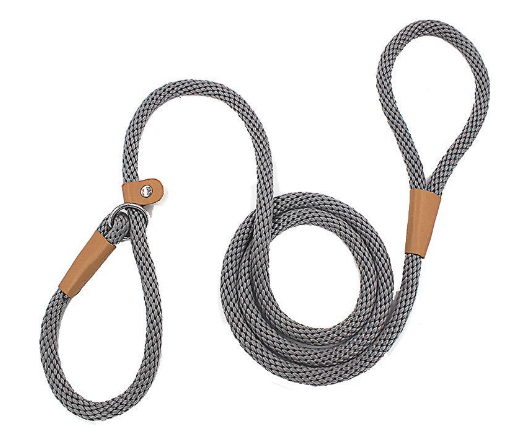 Dog Leash Variation 6