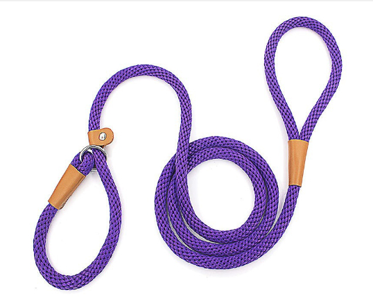Dog Leash Variation 4