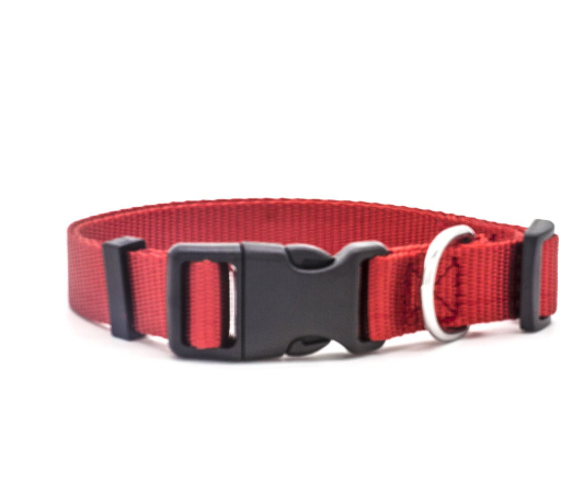 Vibrant Pet Collar Colors
