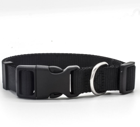 Stylish Collar for Pets