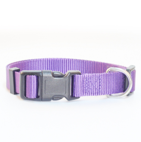 Perfect Fit Pet Collar