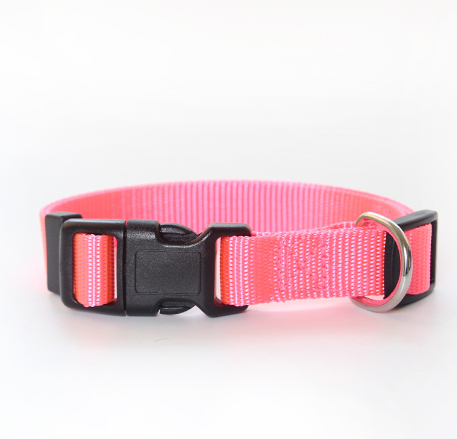 Pet Collar Options