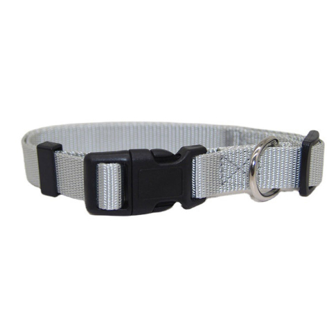 Pet Collar in Use