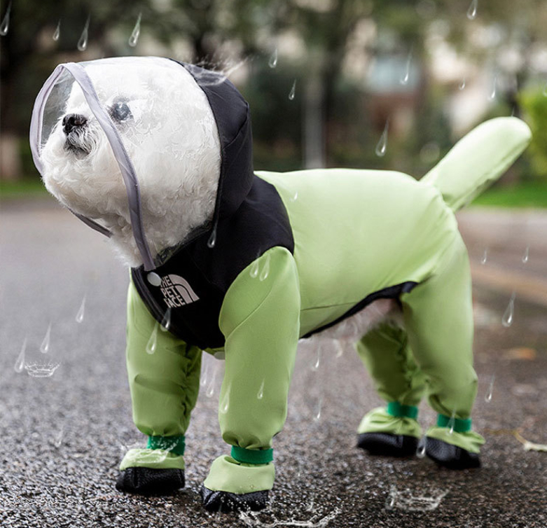 Pet Poncho Image 4
