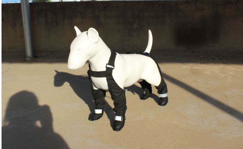 Dog Shoe 6