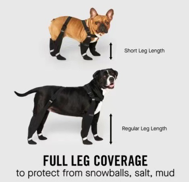 Dog Shoe 4