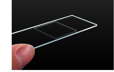 50PCS 25x76 mm Blank Microscope Glass Slides Single Side Frosted Slides for Lab Preparation of Specimen and Science