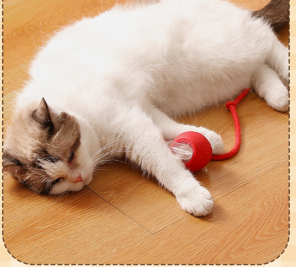 Happy cat with teasing ball