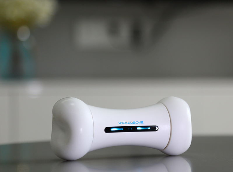 Interactive Smart Dog Toy - Color Variations