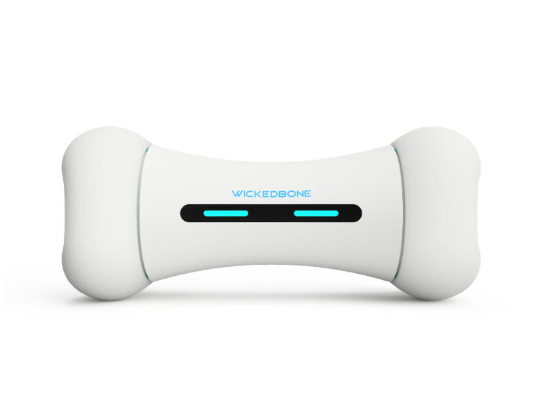 Interactive Smart Dog Toy - Durable Material