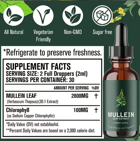 Mullein Leaf Extract Image 1