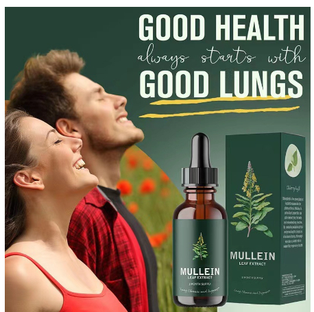 Mullein Leaf Extract Image 4