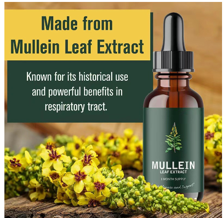 Mullein Leaf Extract Image 2