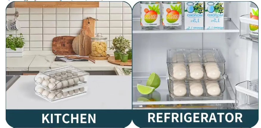 Egg Holder Image 1