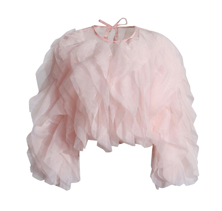 Elegant Ruffles Blouse 2