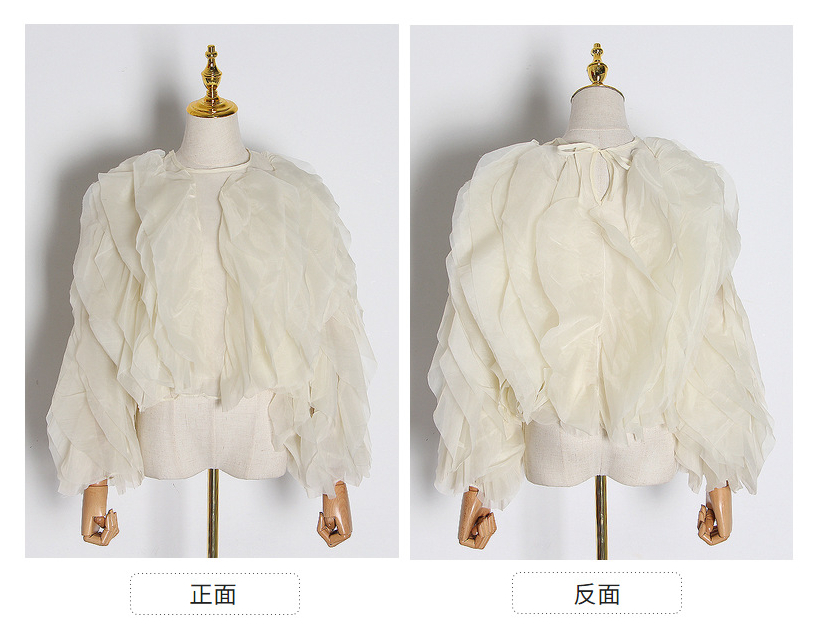 Elegant Ruffles Blouse 3