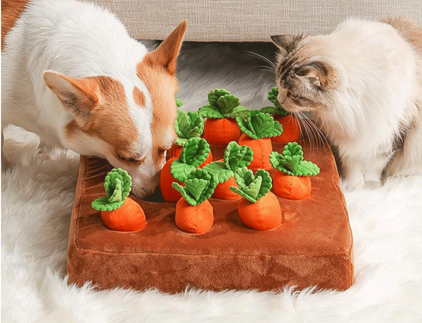 Interactive Carrot Snuffle Mat