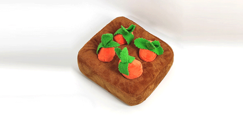 Interactive Carrot Snuffle Mat