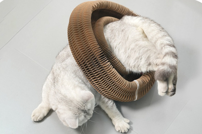 Brinquedo do gato da placa do risco do gato do órg?o mágico com o sino do gato de moagem garra do gato quadro de escalada brinquedo do risco do gato