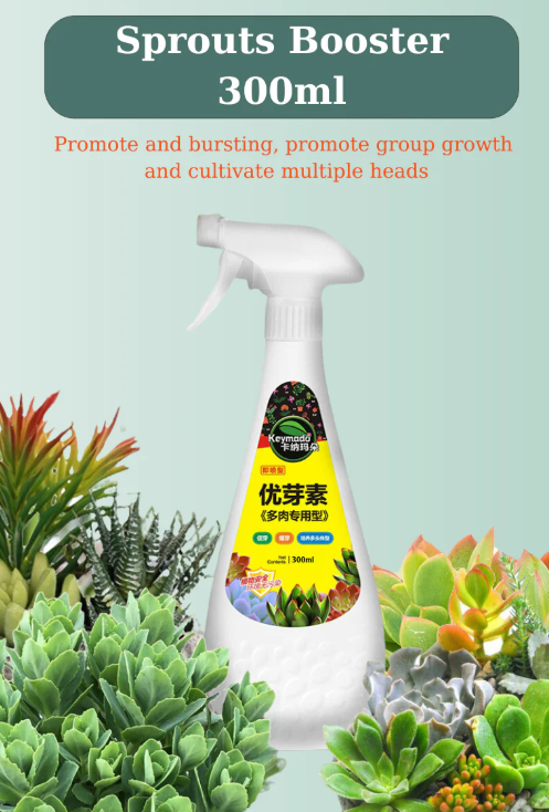 Kanamado Succulent Extract