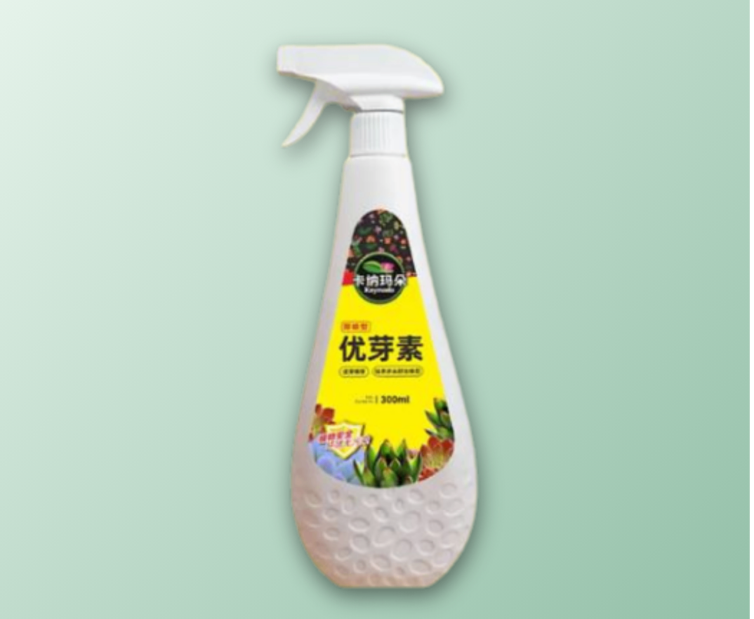 Kanamado Succulent Extract image