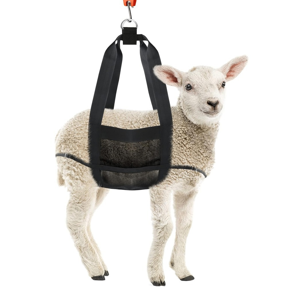 Hanging pet weighing belt image