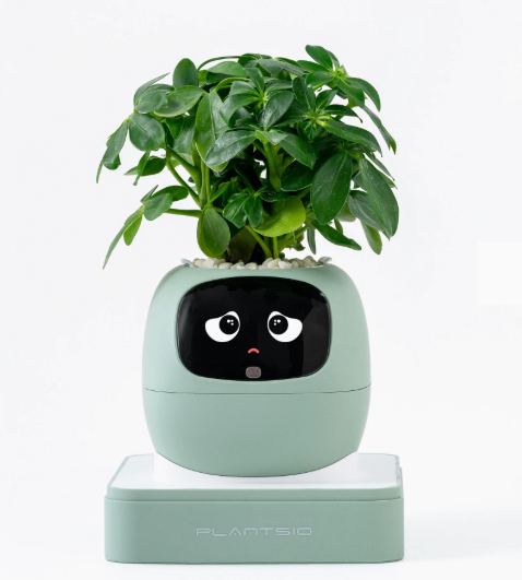 Intelligent automatic pet mood robot flower pot image