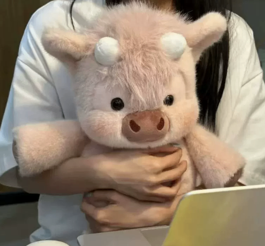 Comforting plush toy image