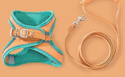 Cute outdoor cat vest leash image