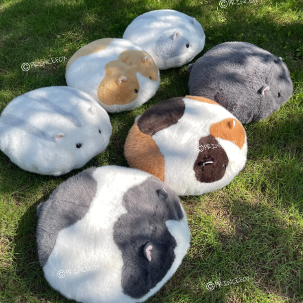 Thick cushion pillow birthday gift