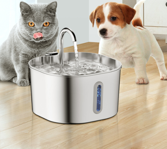 Stainless steel pet water dispenser